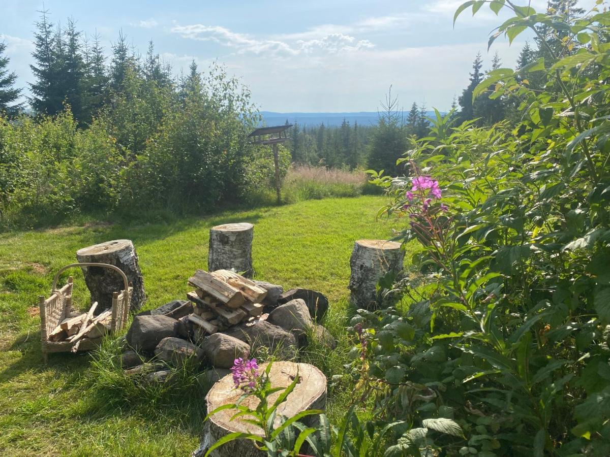 Cozy Forest Cabin With Amazing Mountain View Villa Torsby Exterior photo