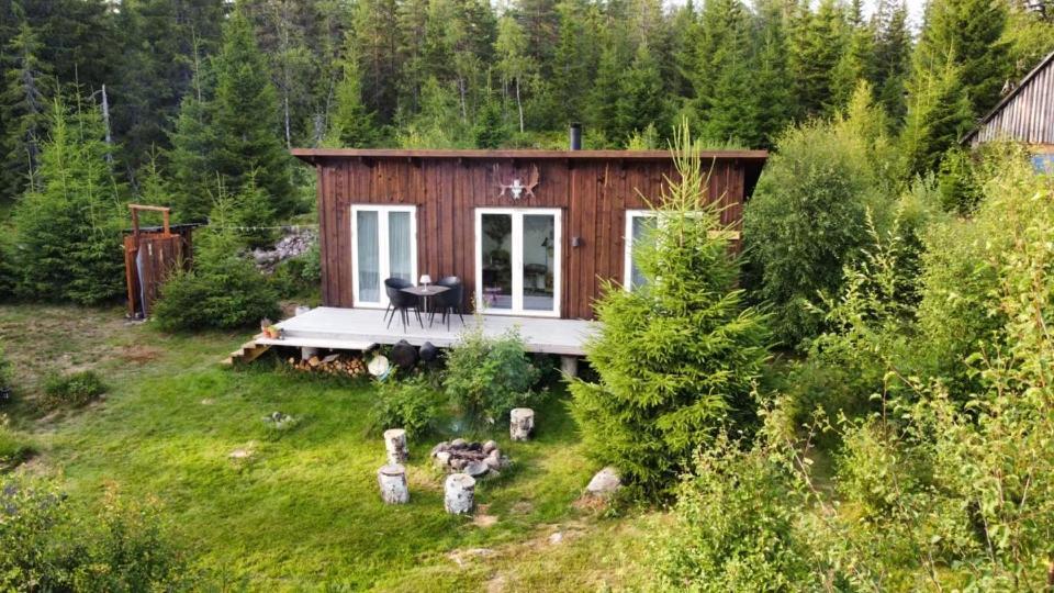 Cozy Forest Cabin With Amazing Mountain View Villa Torsby Exterior photo