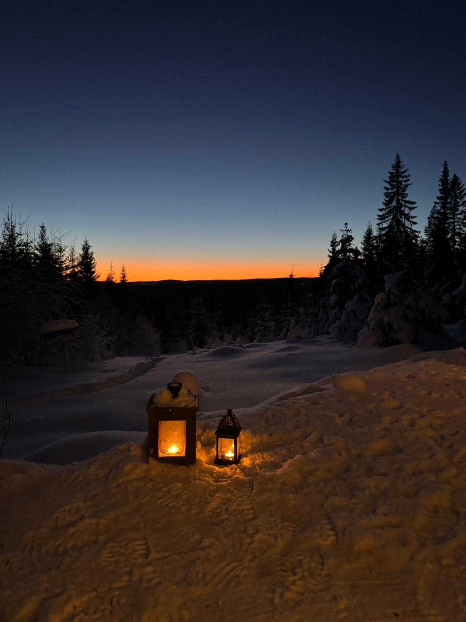 Cozy Forest Cabin With Amazing Mountain View Villa Torsby Exterior photo