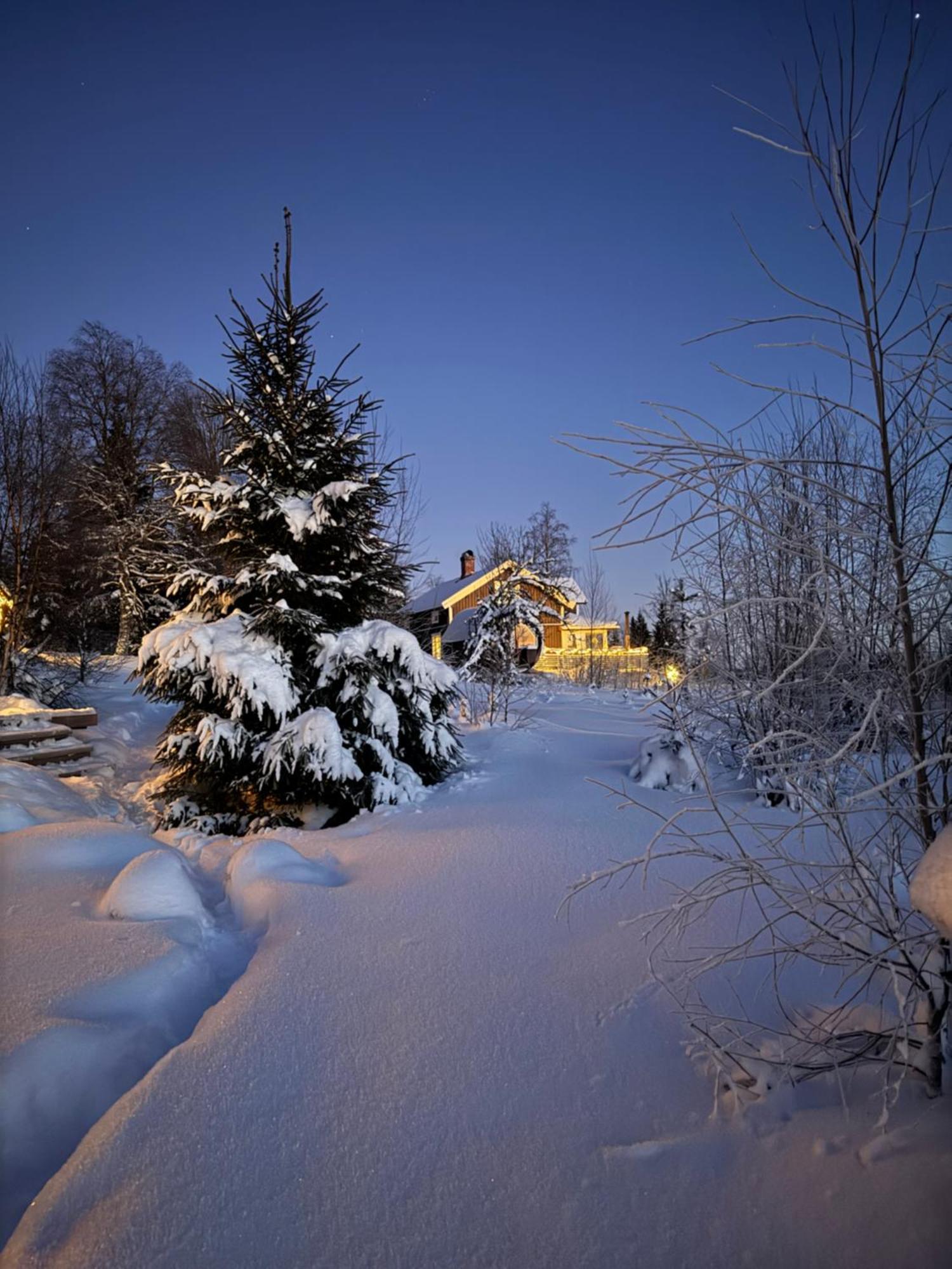 Cozy Forest Cabin With Amazing Mountain View Villa Torsby Exterior photo