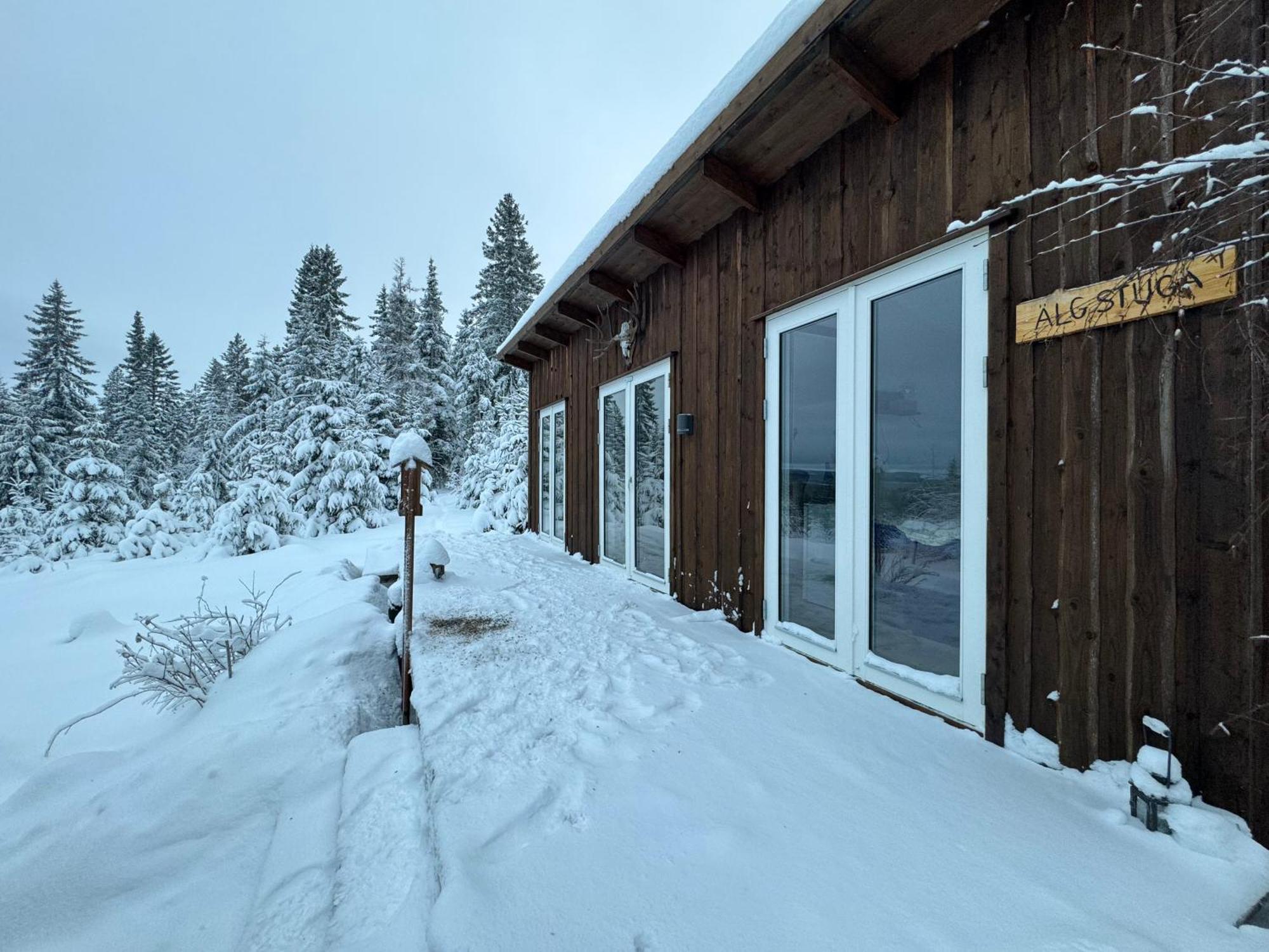 Cozy Forest Cabin With Amazing Mountain View Villa Torsby Exterior photo