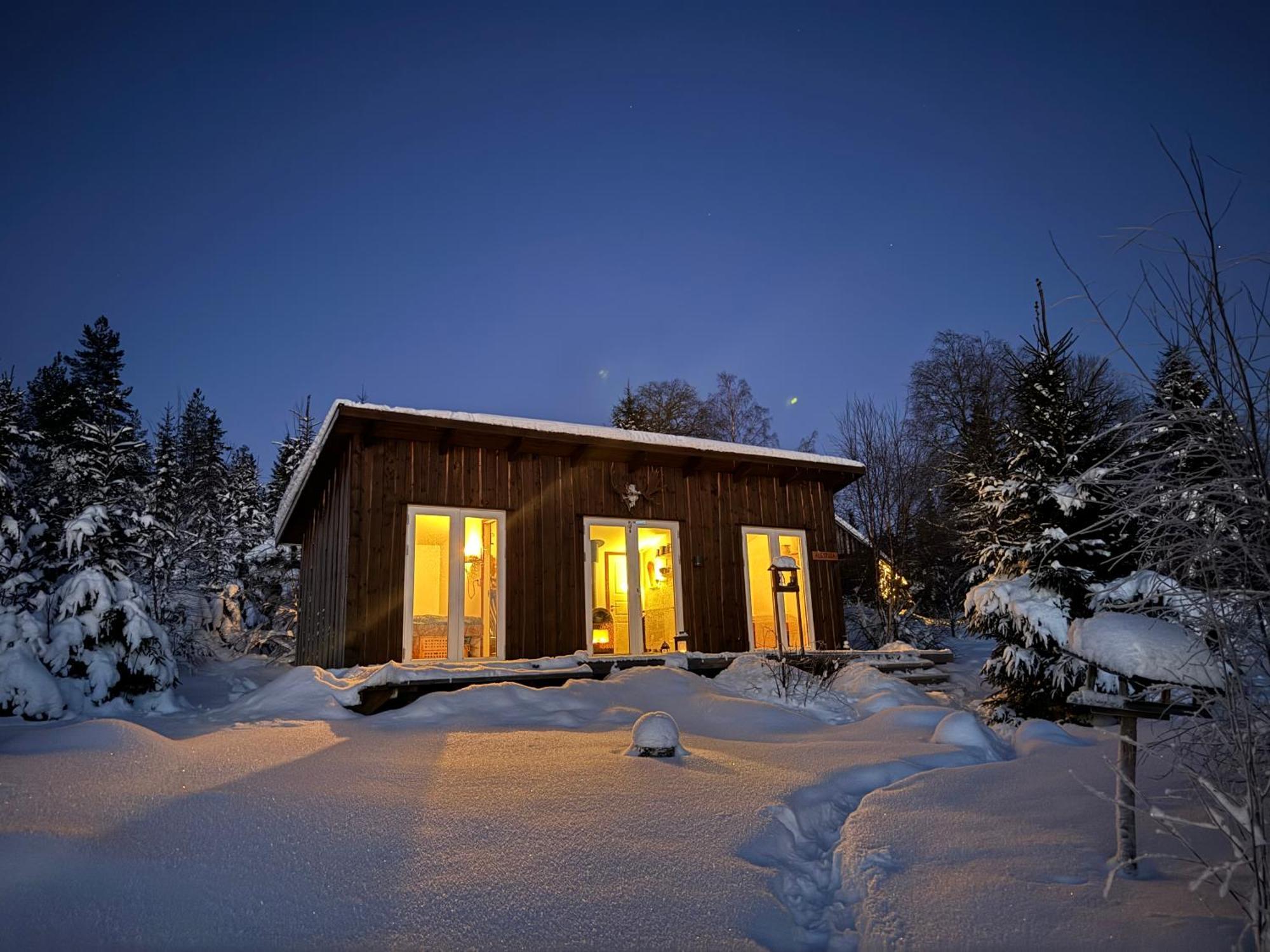 Cozy Forest Cabin With Amazing Mountain View Villa Torsby Exterior photo