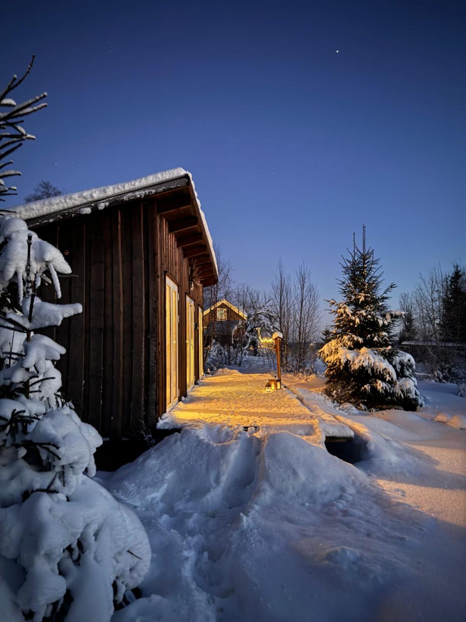 Cozy Forest Cabin With Amazing Mountain View Villa Torsby Exterior photo