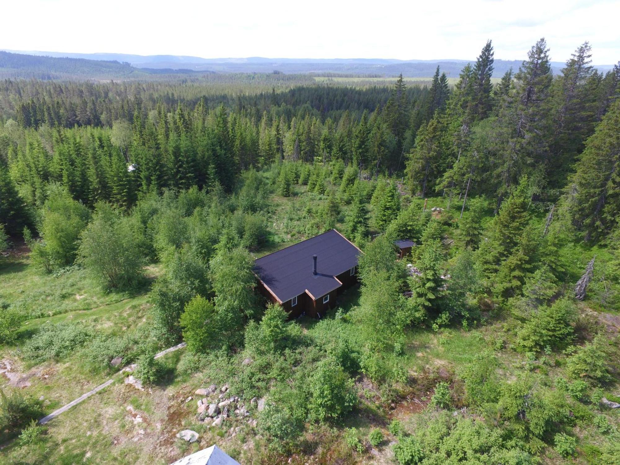 Cozy Forest Cabin With Amazing Mountain View Villa Torsby Exterior photo