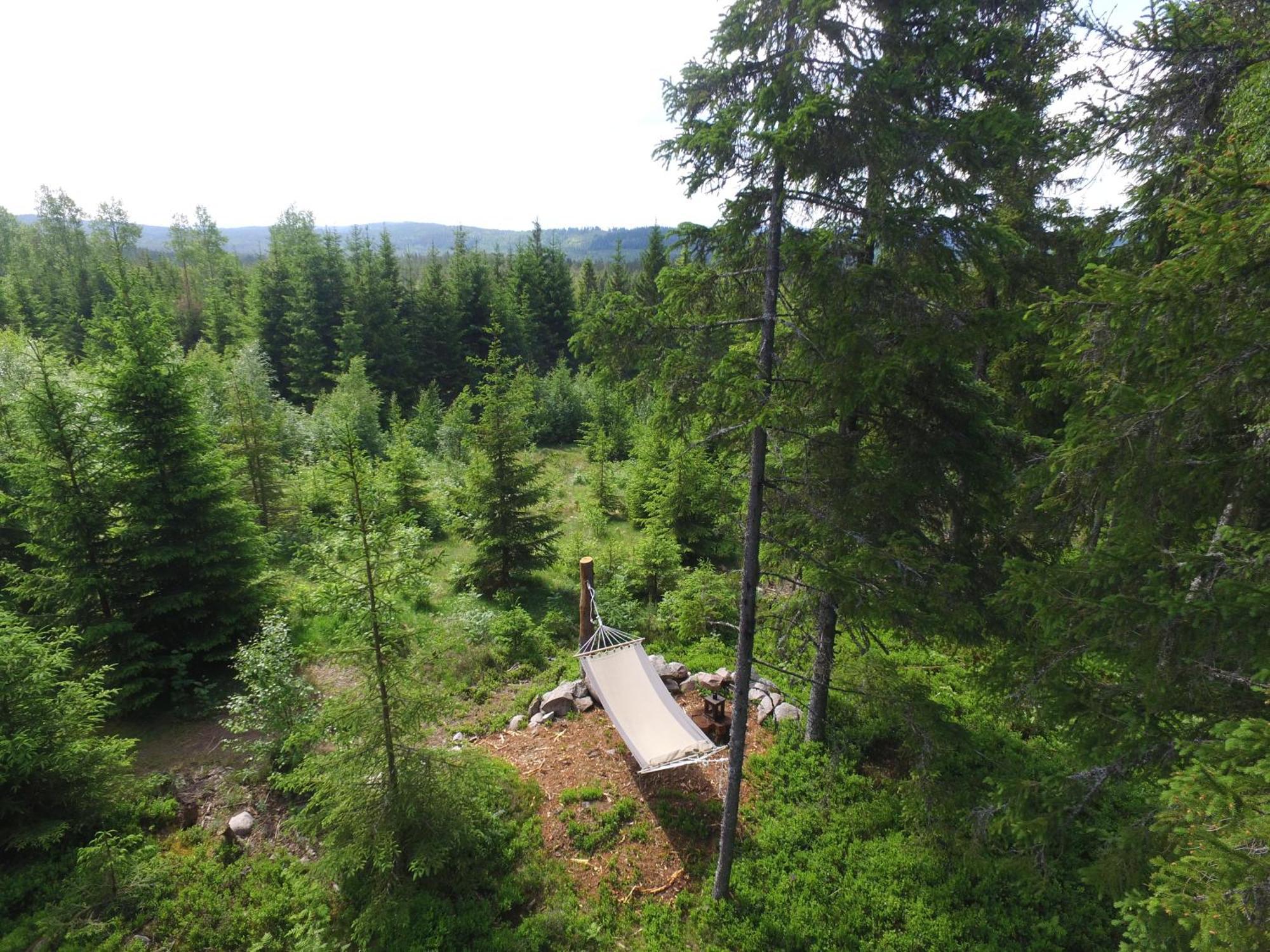 Cozy Forest Cabin With Amazing Mountain View Villa Torsby Exterior photo